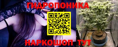 apvp Ростов-на-Дону